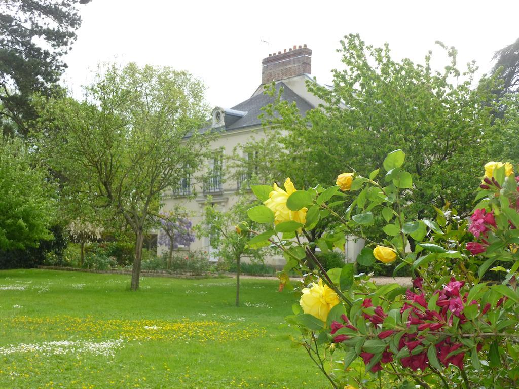 Cedre Et Charme Bed & Breakfast Saint-Branchs Exterior foto