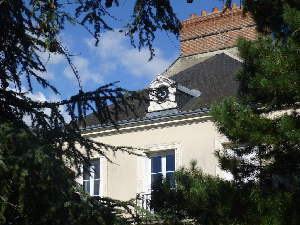 Cedre Et Charme Bed & Breakfast Saint-Branchs Exterior foto